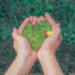 Where Good Grows: Our Shared Impact on Community